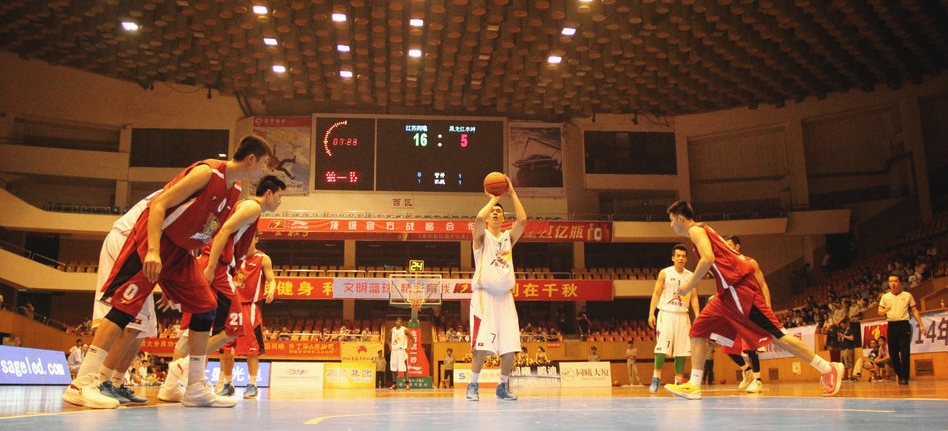 官方：前狮吼主帅罗斯·阿洛伊西执教浙江队，曾任穆斯卡特助教（浙江队官宣罗斯·阿洛伊西出任主帅：前狮吼主帅，曾任穆斯卡特助教）